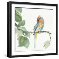 Crested Cockatoo-Chris Paschke-Framed Art Print