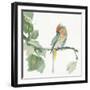 Crested Cockatoo-Chris Paschke-Framed Art Print