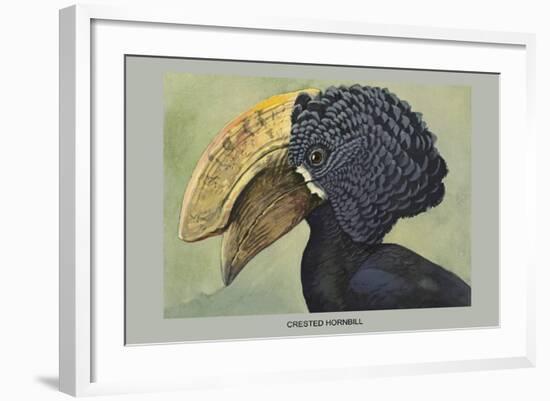 Crested Hornbill-Louis Agassiz Fuertes-Framed Art Print