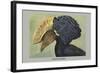 Crested Hornbill-Louis Agassiz Fuertes-Framed Art Print