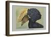 Crested Hornbill-Louis Agassiz Fuertes-Framed Art Print