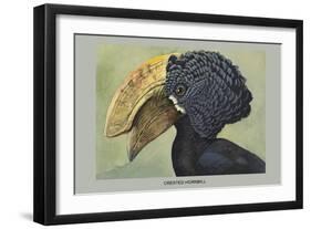 Crested Hornbill-Louis Agassiz Fuertes-Framed Art Print