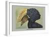 Crested Hornbill-Louis Agassiz Fuertes-Framed Art Print