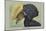 Crested Hornbill-Louis Agassiz Fuertes-Mounted Art Print