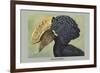 Crested Hornbill-Louis Agassiz Fuertes-Framed Premium Giclee Print