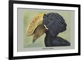 Crested Hornbill-Louis Agassiz Fuertes-Framed Premium Giclee Print