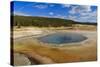 Crested Pool; Hot Spring; Upper Geyser Basin, Yellowstone National Park, Wyoming, Usa-Eleanor Scriven-Stretched Canvas