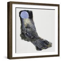 Crested Porcupine (Hystrix Cristata), Hystricidae-null-Framed Giclee Print