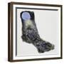 Crested Porcupine (Hystrix Cristata), Hystricidae-null-Framed Giclee Print