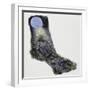 Crested Porcupine (Hystrix Cristata), Hystricidae-null-Framed Giclee Print