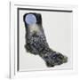 Crested Porcupine (Hystrix Cristata), Hystricidae-null-Framed Giclee Print