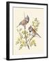 Crested Tit-Anatole Marlin-Framed Giclee Print