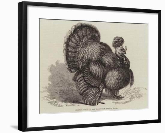 Crested Turkey at the Birmingham Poultry Show-Samuel John Carter-Framed Giclee Print