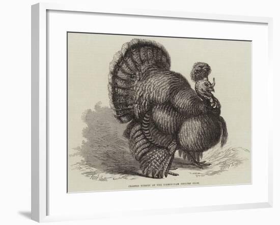 Crested Turkey at the Birmingham Poultry Show-Samuel John Carter-Framed Giclee Print