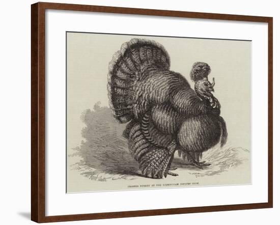 Crested Turkey at the Birmingham Poultry Show-Samuel John Carter-Framed Giclee Print