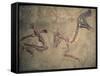 Cretaceous Lambeosaurus Dinosaur Fossil-Kevin Schafer-Framed Stretched Canvas
