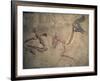 'Cretaceous Lambeosaurus Dinosaur Fossil' Photographic Print - Kevin ...