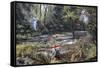 Cretaceous Life, Artwork-Richard Bizley-Framed Stretched Canvas