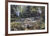 Cretaceous Life, Artwork-Richard Bizley-Framed Photographic Print