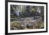 Cretaceous Life, Artwork-Richard Bizley-Framed Photographic Print