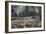 Cretaceous Life, Artwork-Richard Bizley-Framed Photographic Print