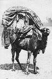 A Girl on a Camel Litter, Algeria, 1922-Crete-Framed Stretched Canvas