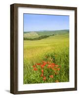 Crete Senesi Area, Near Asciano, Siena Province, Tuscany, Italy, Europe-Tondini Nico-Framed Photographic Print