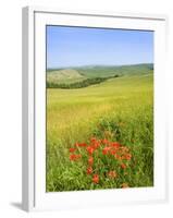 Crete Senesi Area, Near Asciano, Siena Province, Tuscany, Italy, Europe-Tondini Nico-Framed Photographic Print