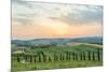 Crete Senesi, Tuscany, Italy. a Lonely Farmhouse with Cypress and Olive Trees-Francesco Riccardo Iacomino-Mounted Photographic Print