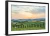 Crete Senesi, Tuscany, Italy. a Lonely Farmhouse with Cypress and Olive Trees-Francesco Riccardo Iacomino-Framed Photographic Print