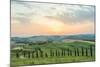 Crete Senesi, Tuscany, Italy. a Lonely Farmhouse with Cypress and Olive Trees-Francesco Riccardo Iacomino-Mounted Photographic Print