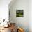 Crete Senses/Tuscany-Jarek Pawlak-Photographic Print displayed on a wall