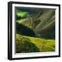 Crete Senses/Tuscany-Jarek Pawlak-Framed Photographic Print