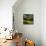 Crete Senses/Tuscany-Jarek Pawlak-Stretched Canvas displayed on a wall