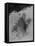 Crevasse on Mount Baker, Circa 1907-Asahel Curtis-Framed Stretched Canvas