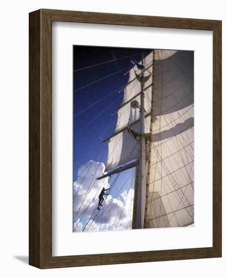 Crew Member Climbing Mast of the Star Clipper, Caribbean-Dave Bartruff-Framed Photographic Print