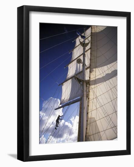 Crew Member Climbing Mast of the Star Clipper, Caribbean-Dave Bartruff-Framed Photographic Print