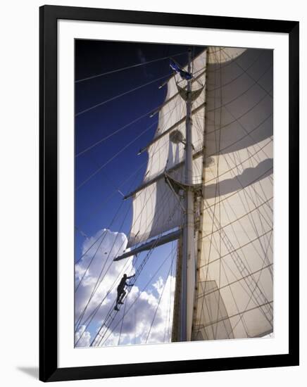 Crew Member Climbing Mast of the Star Clipper, Caribbean-Dave Bartruff-Framed Photographic Print
