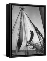 Crew Member Sailing a Pilot Boat in Boston Harbor-Carl Mydans-Framed Stretched Canvas