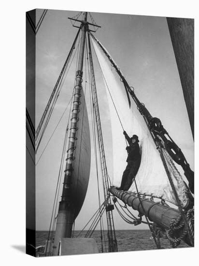 Crew Member Sailing a Pilot Boat in Boston Harbor-Carl Mydans-Stretched Canvas