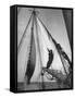 Crew Member Sailing a Pilot Boat in Boston Harbor-Carl Mydans-Framed Stretched Canvas