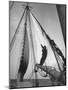 Crew Member Sailing a Pilot Boat in Boston Harbor-Carl Mydans-Mounted Photographic Print
