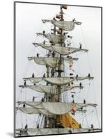 Crew Members of the Tall Ship Guayas-null-Mounted Photographic Print