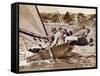 Crew of the "Arawatta" During the "Eighteen Footer" Race, Sydney Harbour, 9th April 1934-null-Framed Stretched Canvas