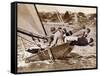 Crew of the "Arawatta" During the "Eighteen Footer" Race, Sydney Harbour, 9th April 1934-null-Framed Stretched Canvas