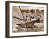 Crew of the "Arawatta" During the "Eighteen Footer" Race, Sydney Harbour, 9th April 1934-null-Framed Premium Photographic Print