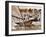 Crew of the "Arawatta" During the "Eighteen Footer" Race, Sydney Harbour, 9th April 1934-null-Framed Premium Photographic Print