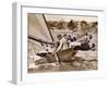 Crew of the "Arawatta" During the "Eighteen Footer" Race, Sydney Harbour, 9th April 1934-null-Framed Premium Photographic Print