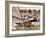 Crew of the "Arawatta" During the "Eighteen Footer" Race, Sydney Harbour, 9th April 1934-null-Framed Photographic Print