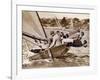 Crew of the "Arawatta" During the "Eighteen Footer" Race, Sydney Harbour, 9th April 1934-null-Framed Photographic Print